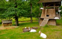 Fotogalerie von Ölmühle Eberstedt - Hotel & Mühlenschänke