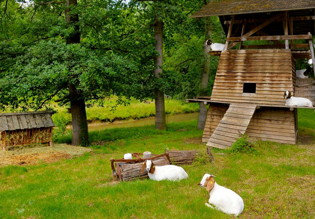 Fotogalerie von Ölmühle Eberstedt - Hotel & Mühlenschänke