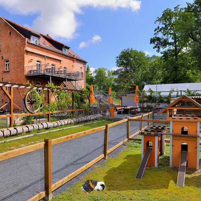 Fotogalerie von Ölmühle Eberstedt - Hotel & Mühlenschänke